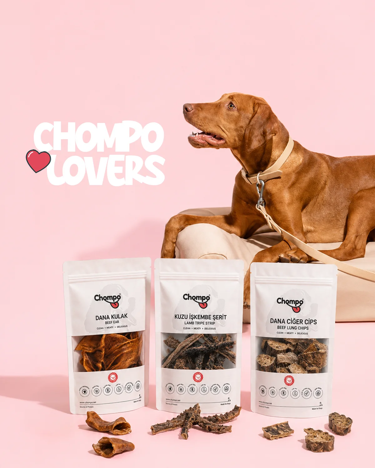 Chompo köpek ve ürün görseli