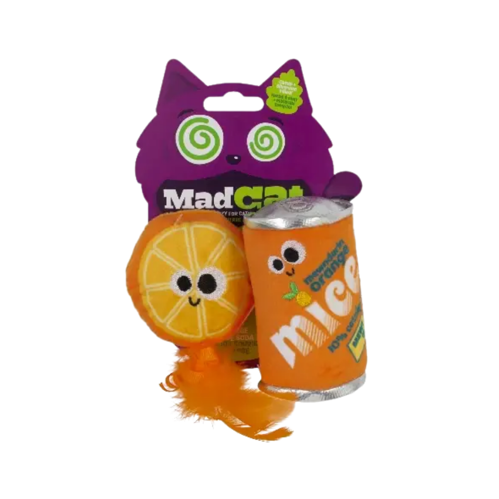 Kedi Oyuncağı